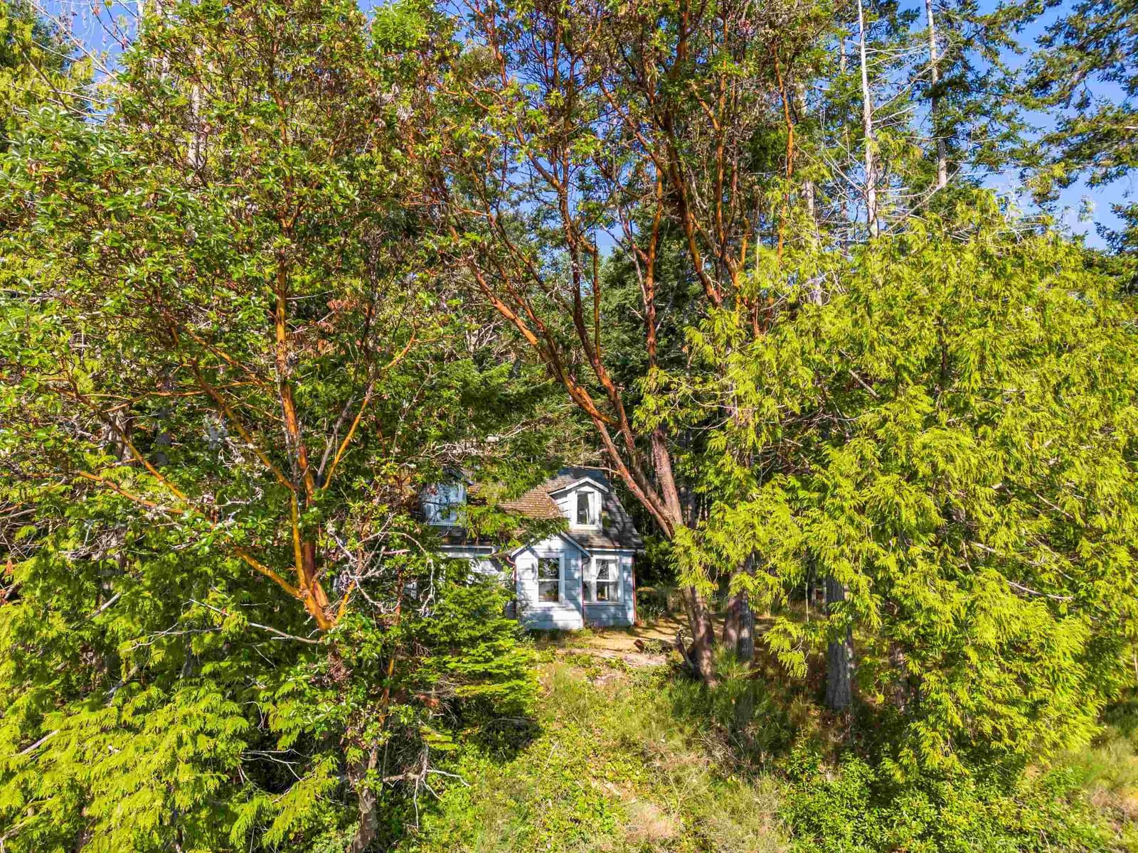 Listing Image 31