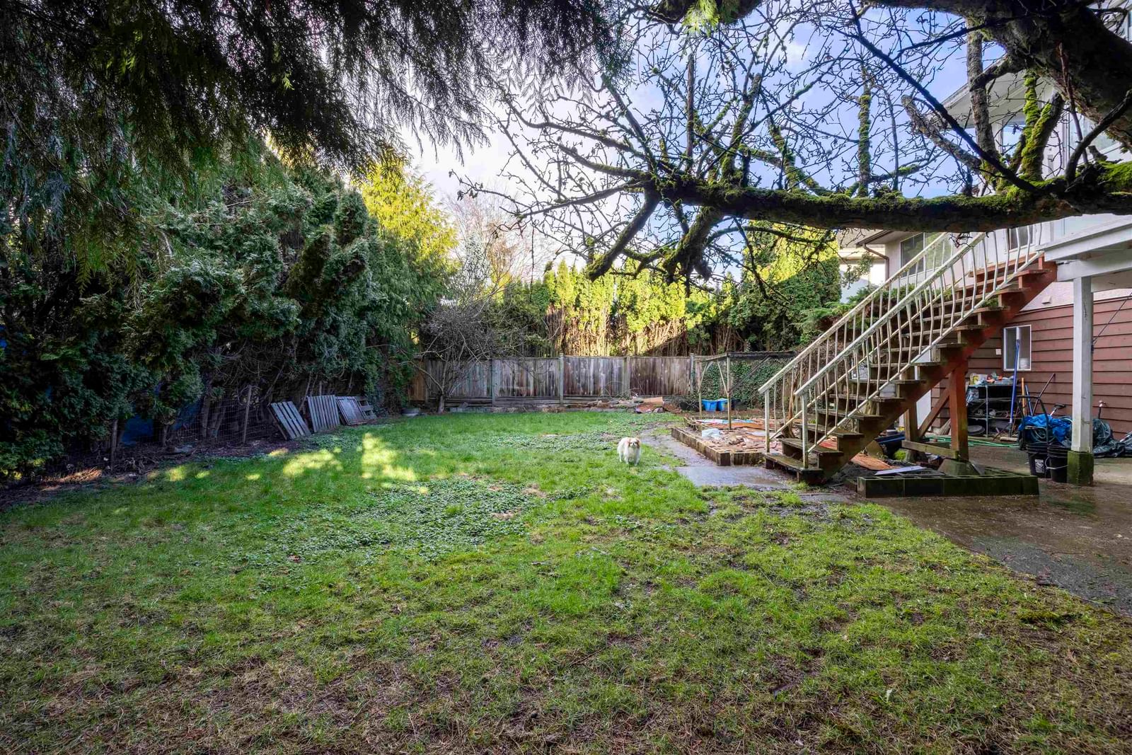 Listing Image 19