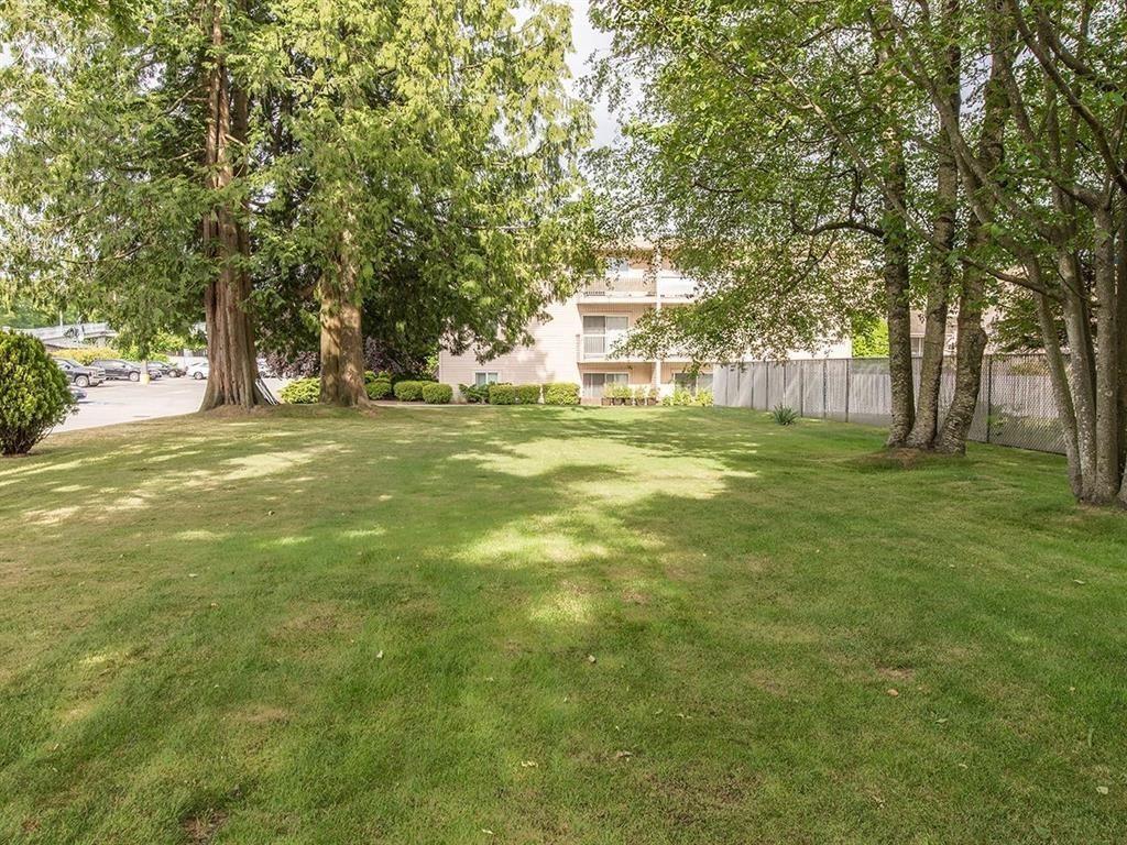 Listing Image 28