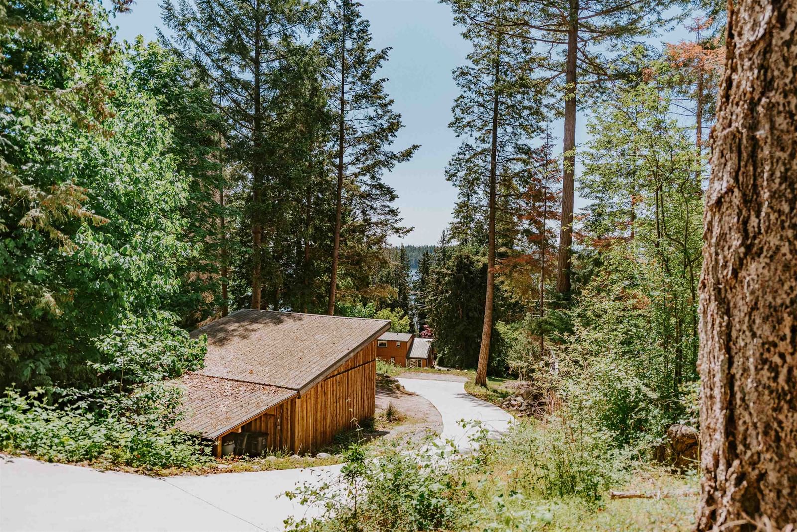 Listing Image 17