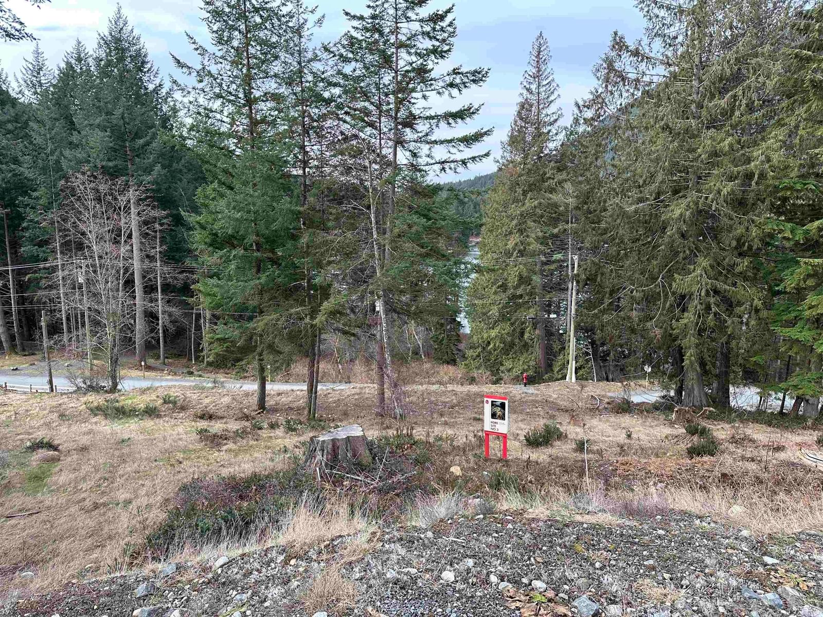 Listing Image 8
