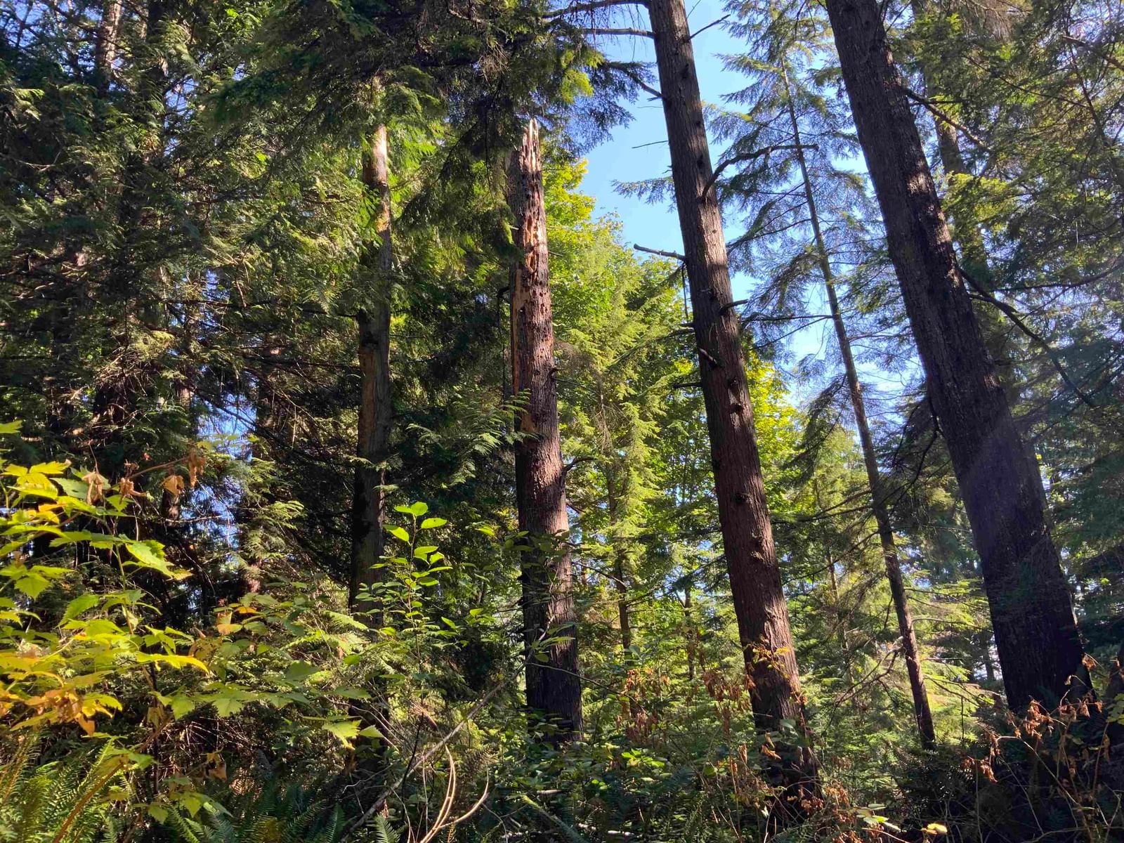 Listing Image 18