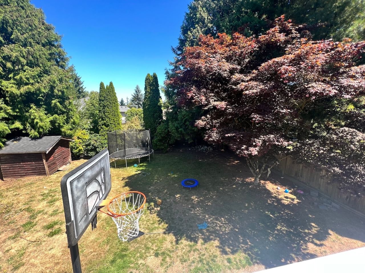 Listing Image 12