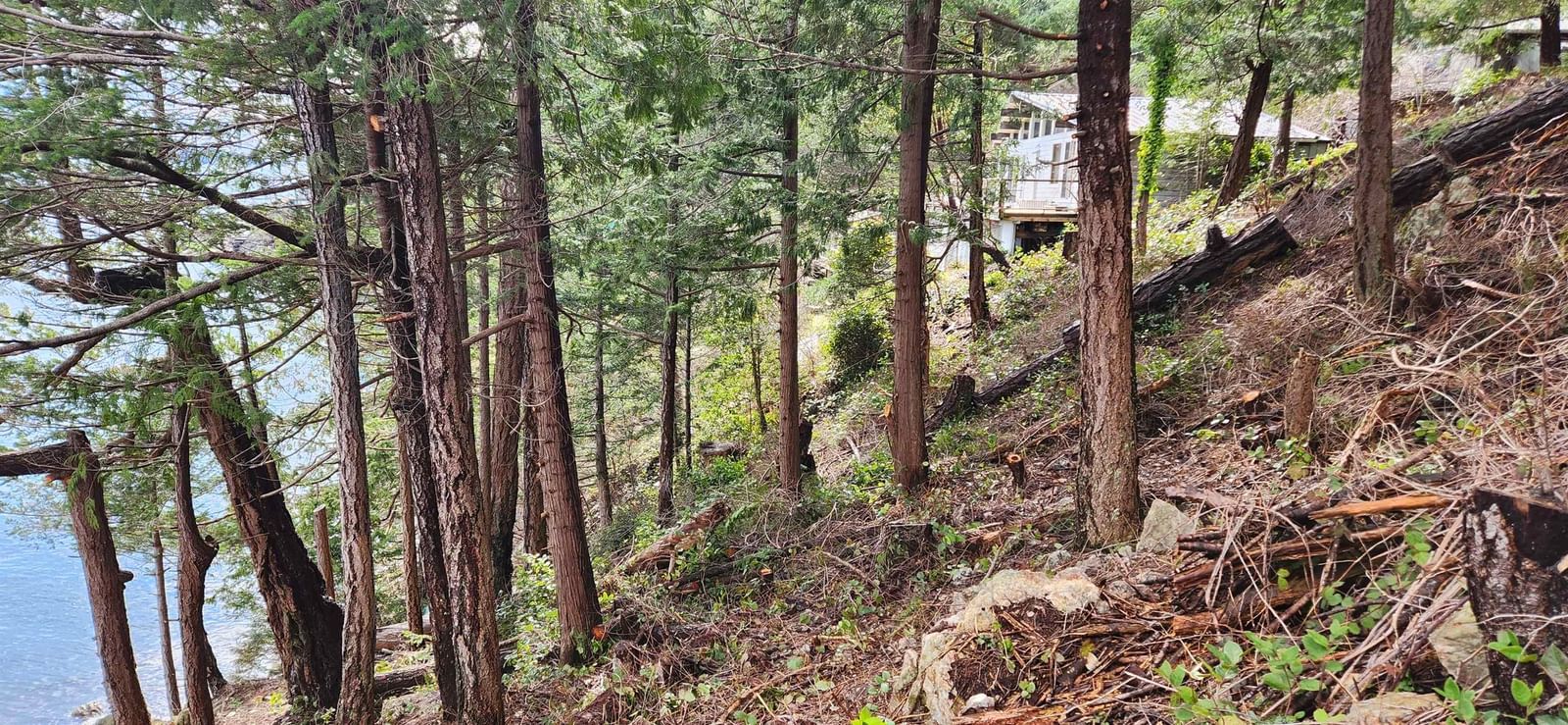 Listing Image 19