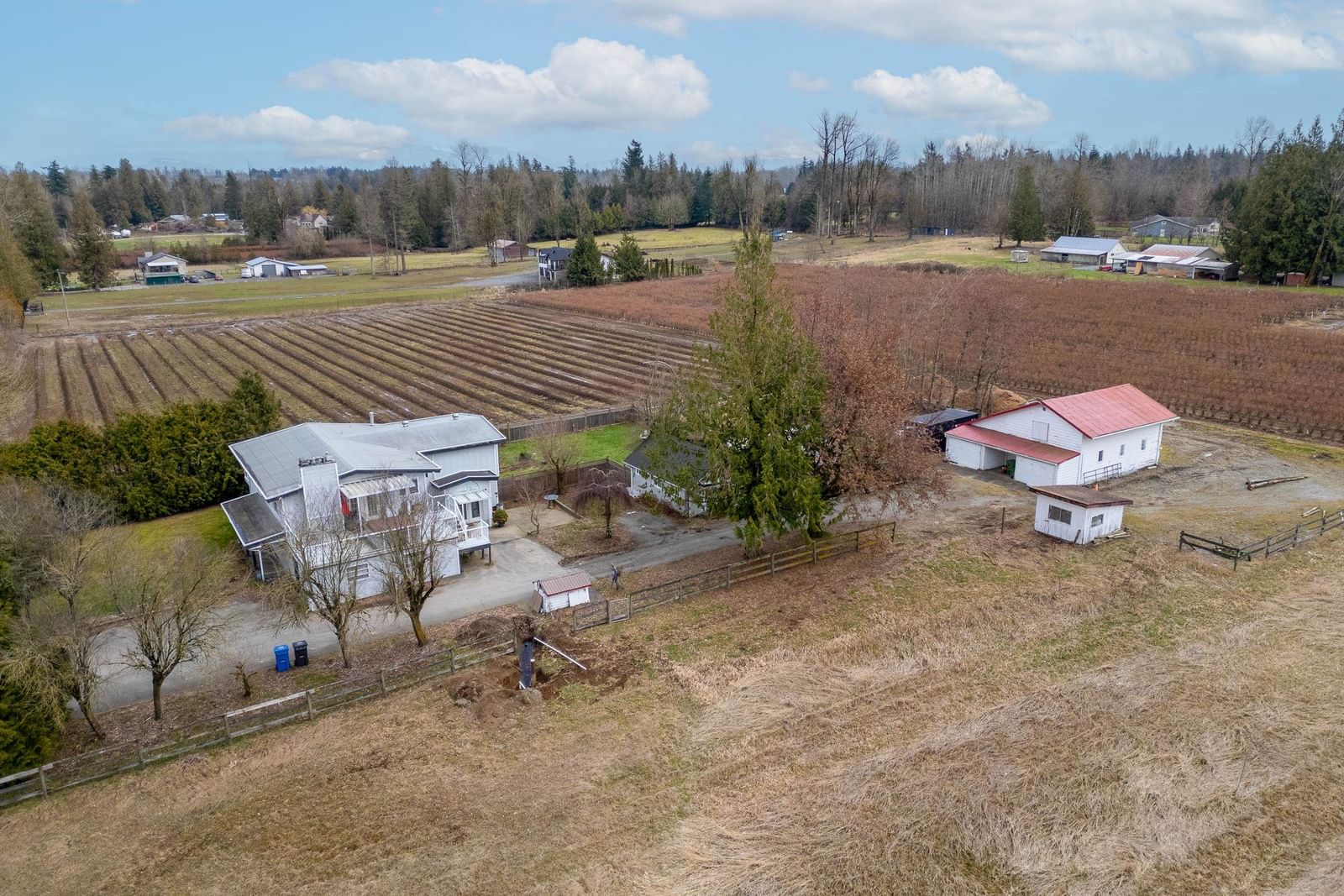 Listing Image 6