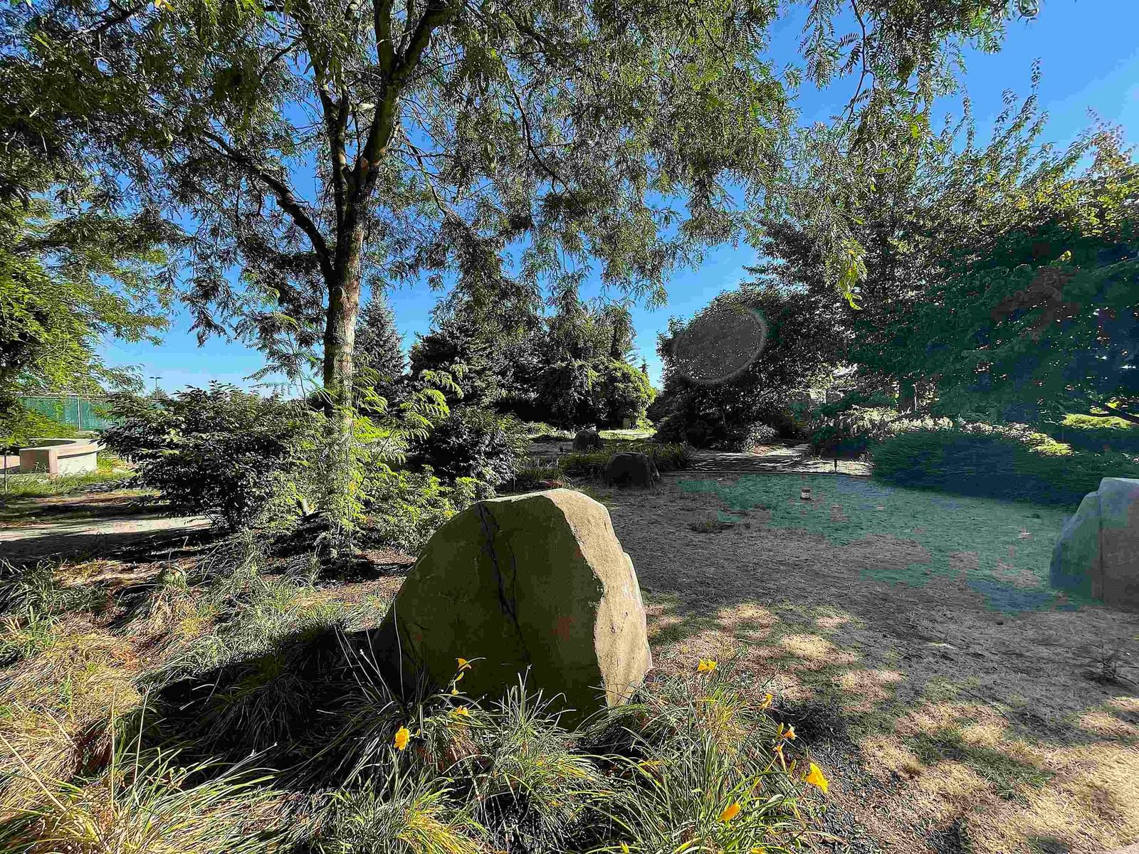 Listing Image 21