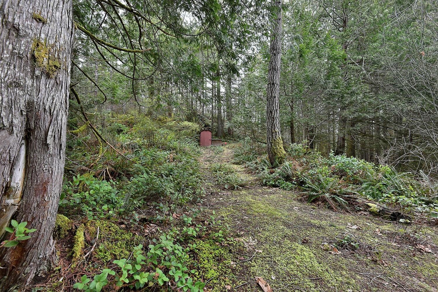 Listing Image 25