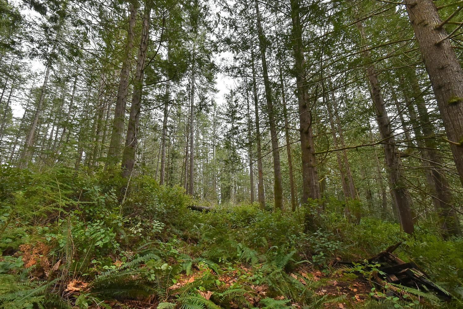 Listing Image 27