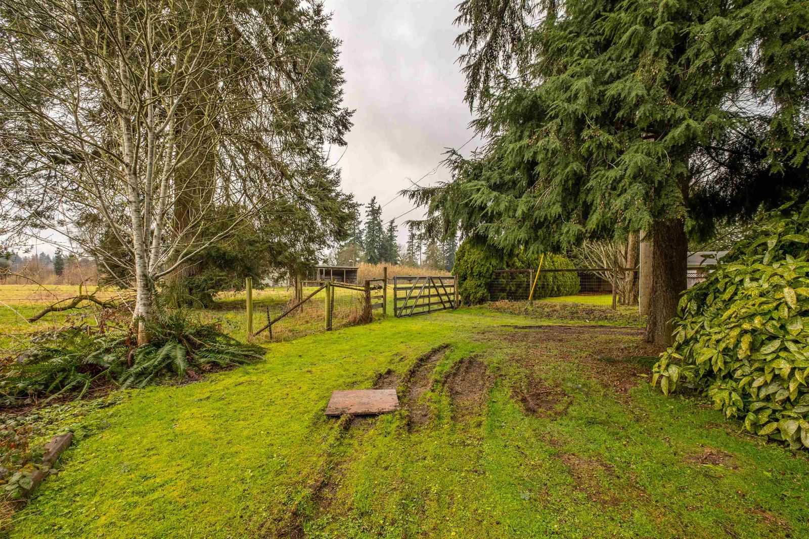 Listing Image 9