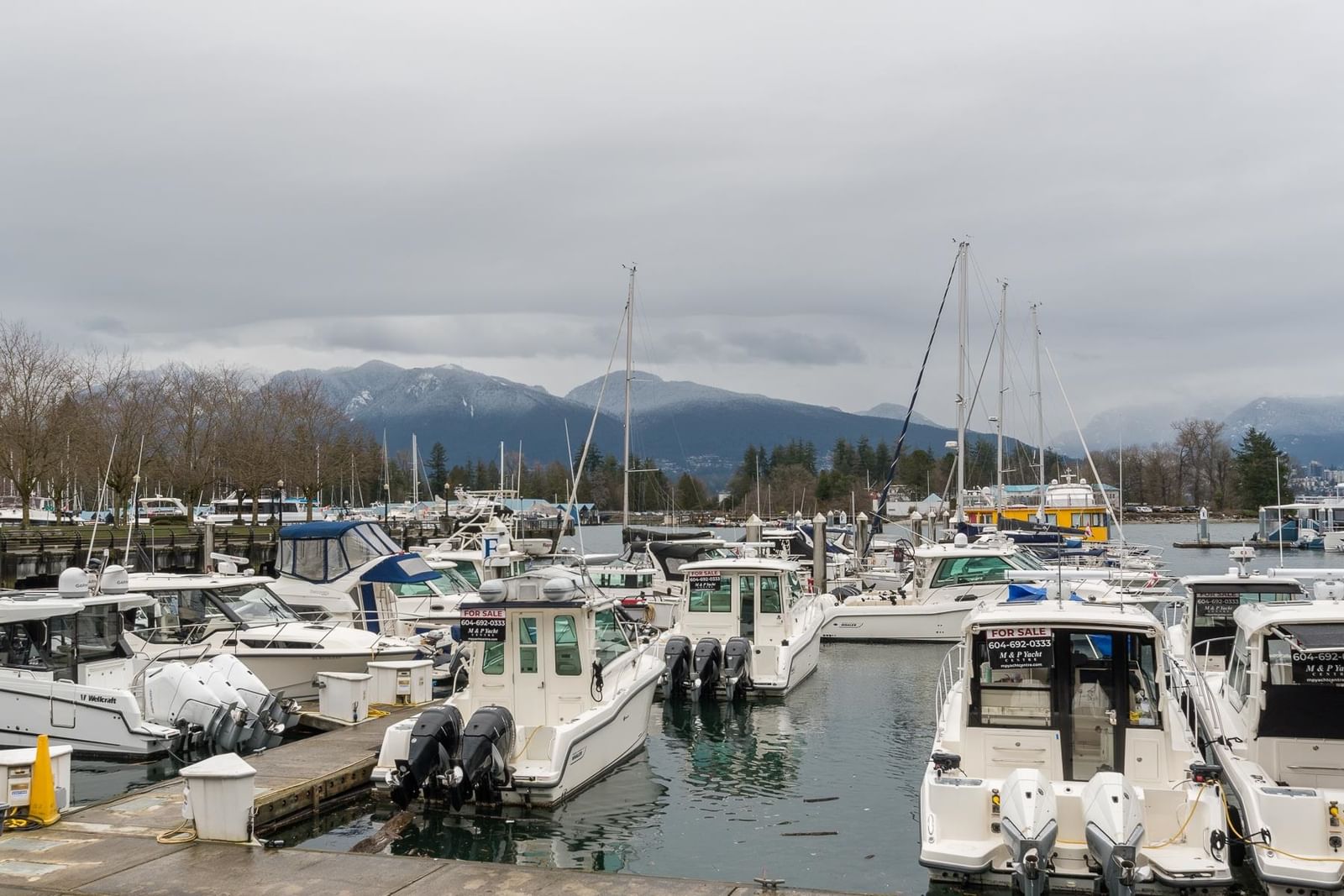 Listing Image 33
