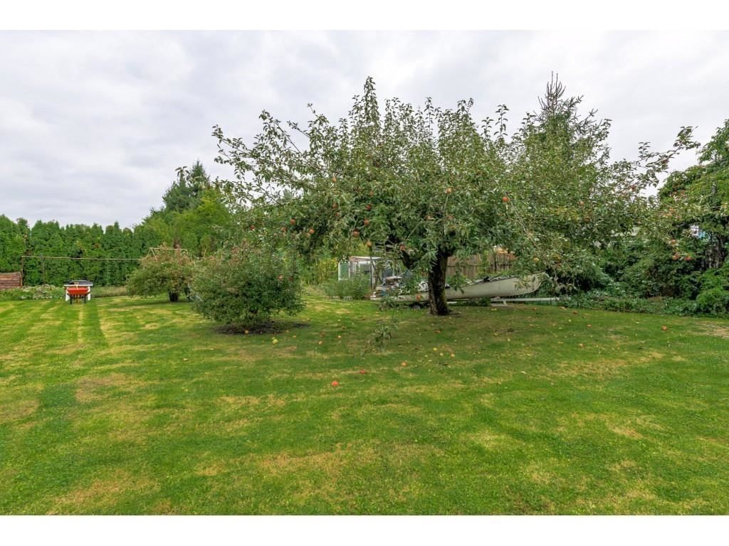 Listing Image 14