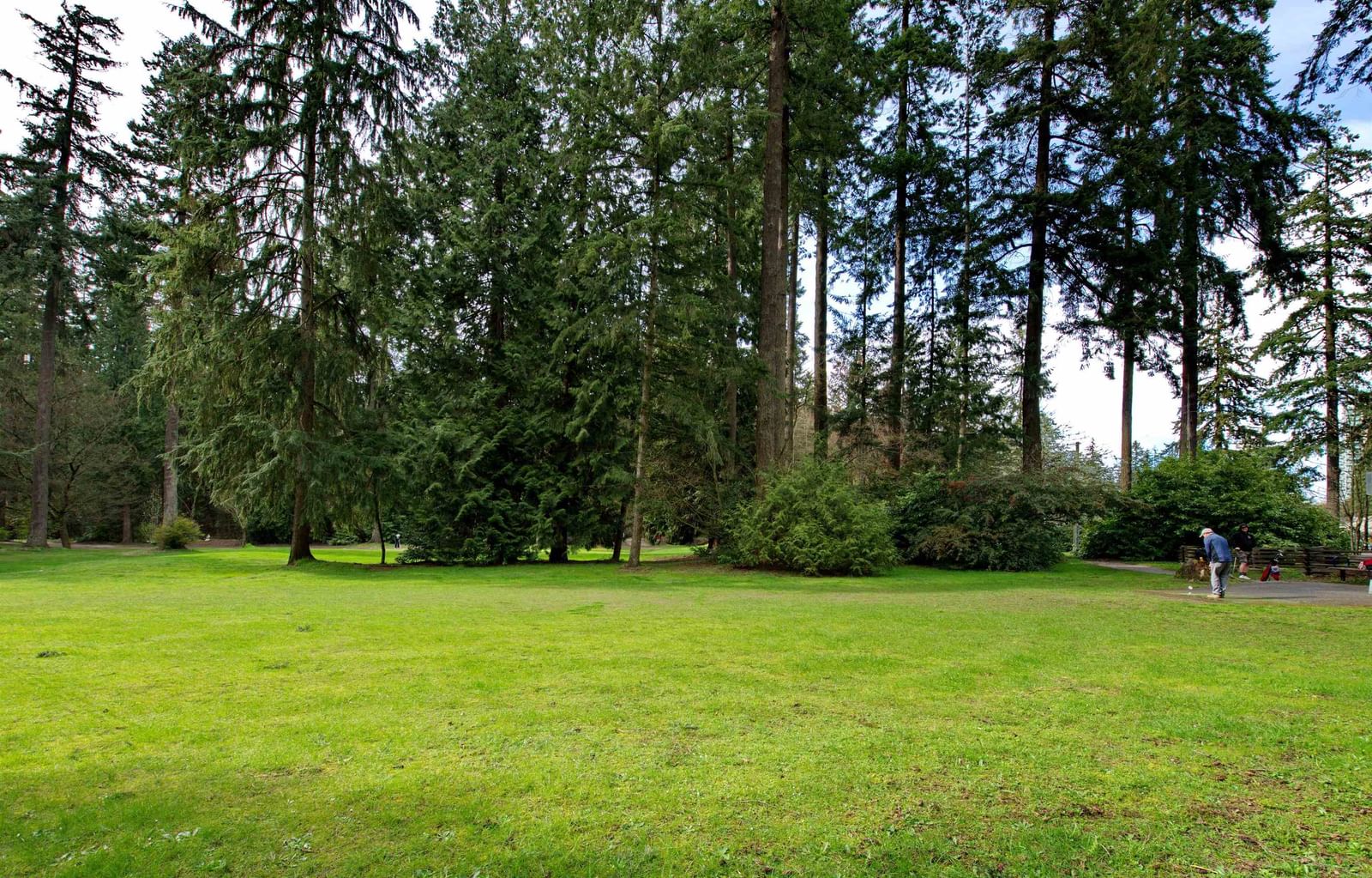 Listing Image 26
