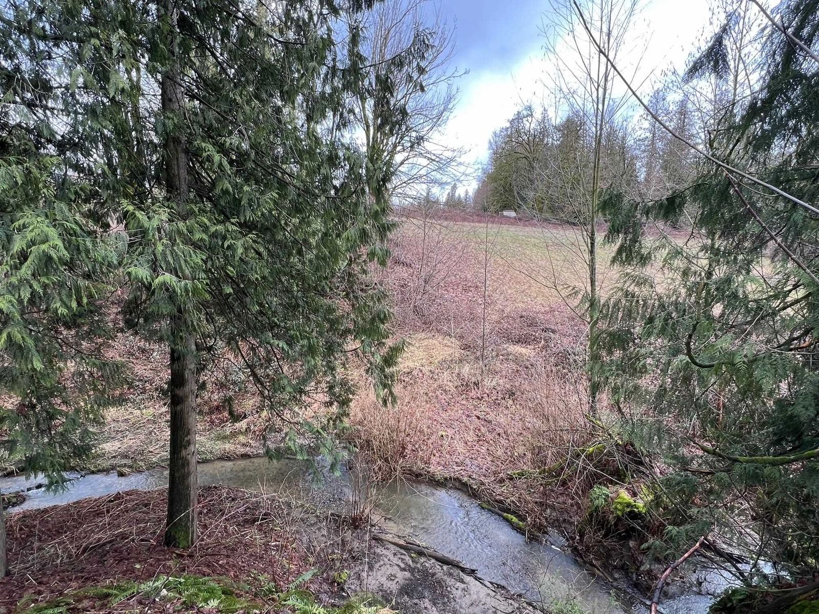 Listing Image 29