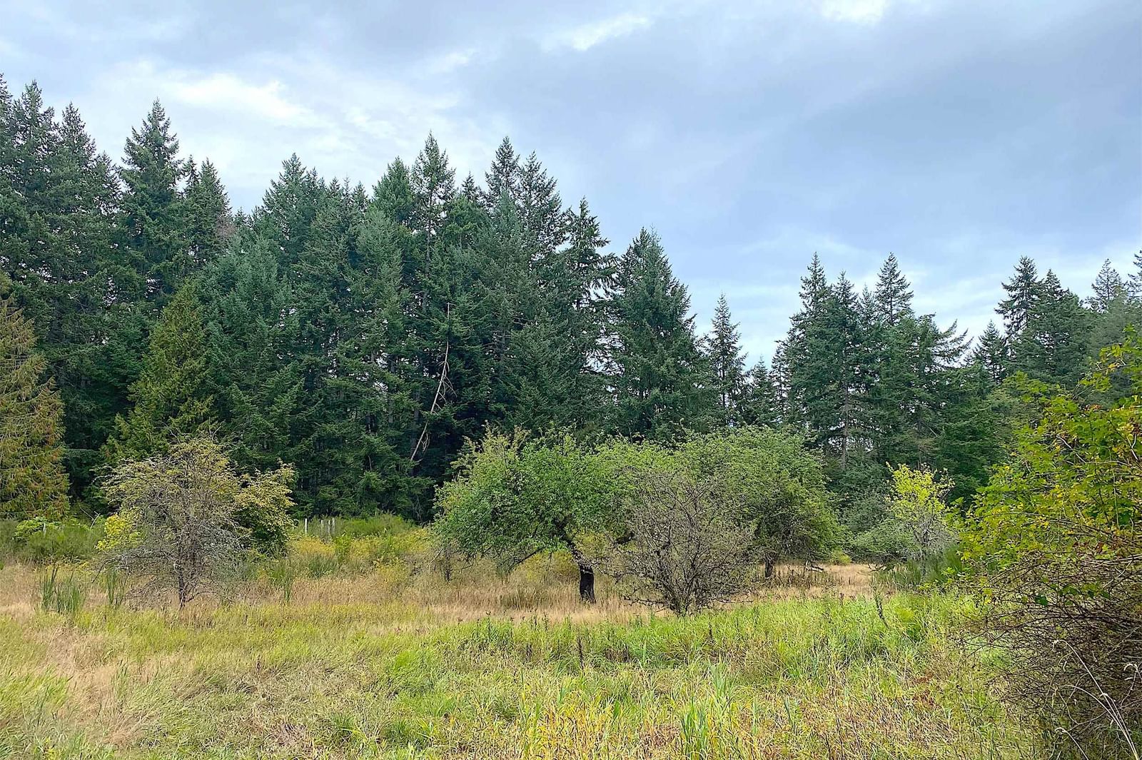 Listing Image 39