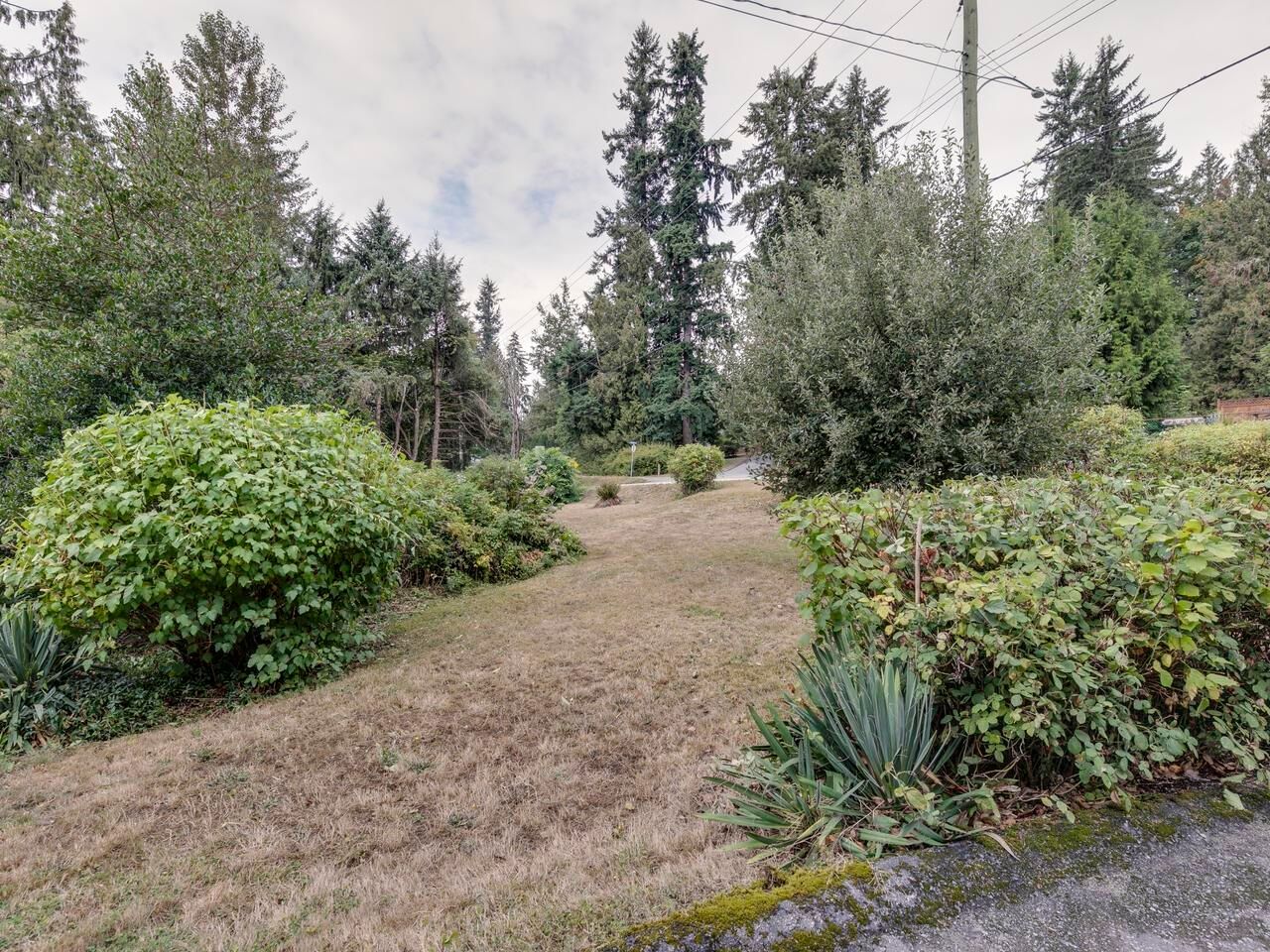 Listing Image 28