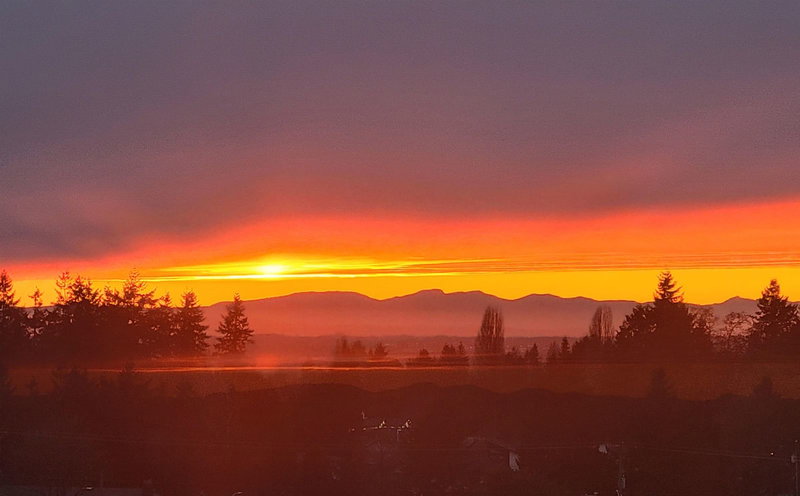 1005 - 11910 80 Avenue, Delta, V4C 8E3 | Image 2