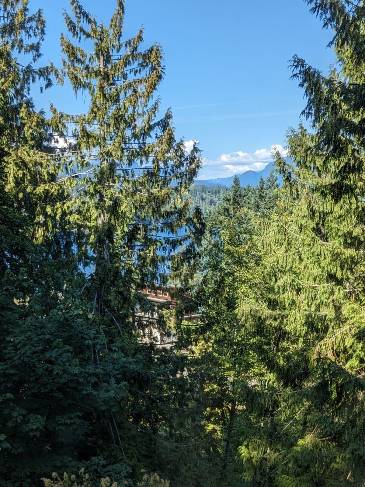 Listing Image 33
