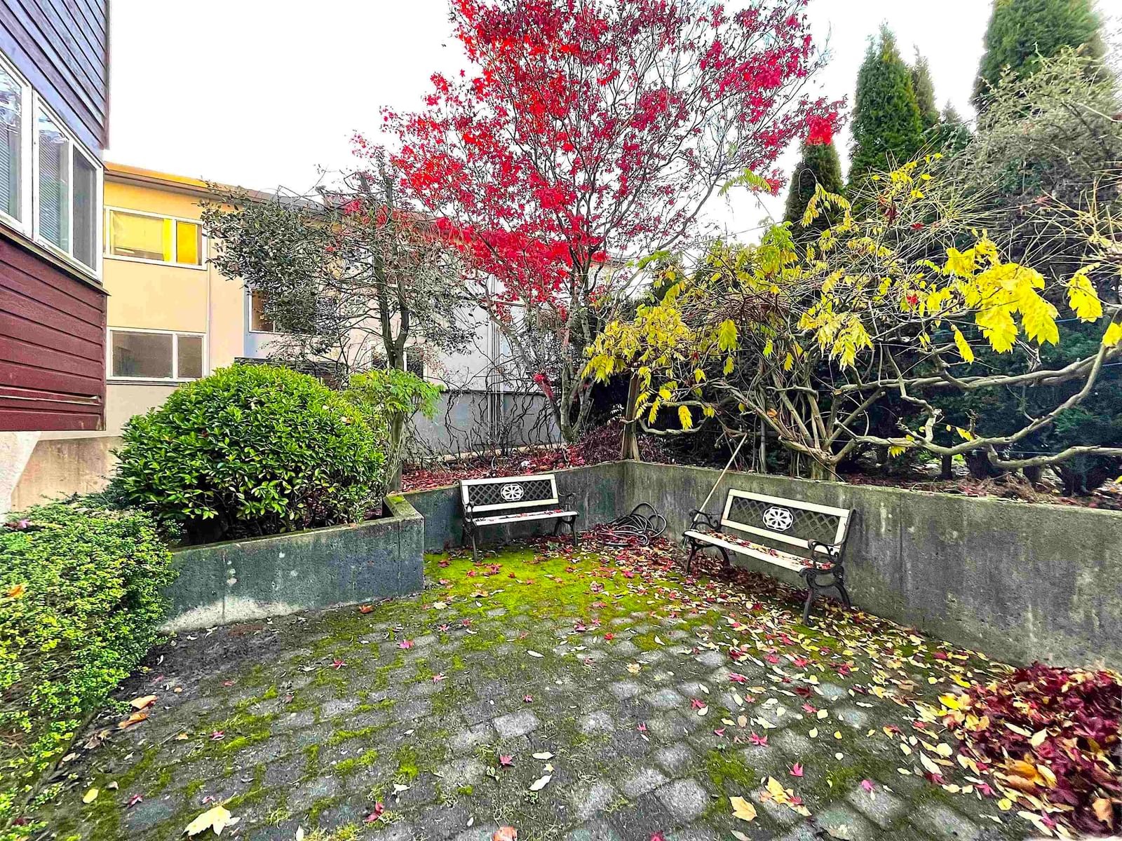 Listing Image 19