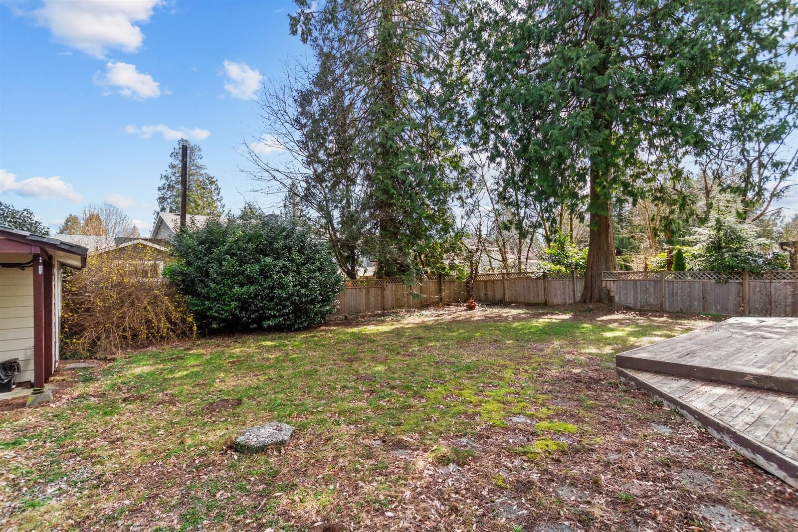 Listing Image 20