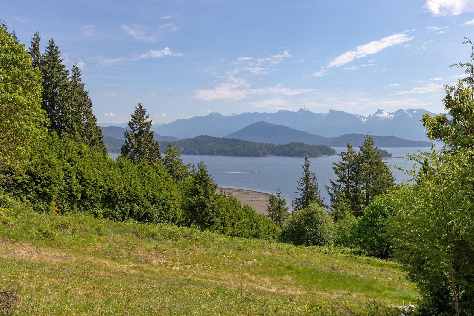 Listing Image 18