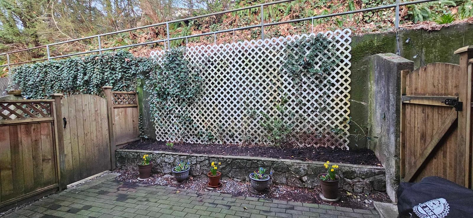 Listing Image 14