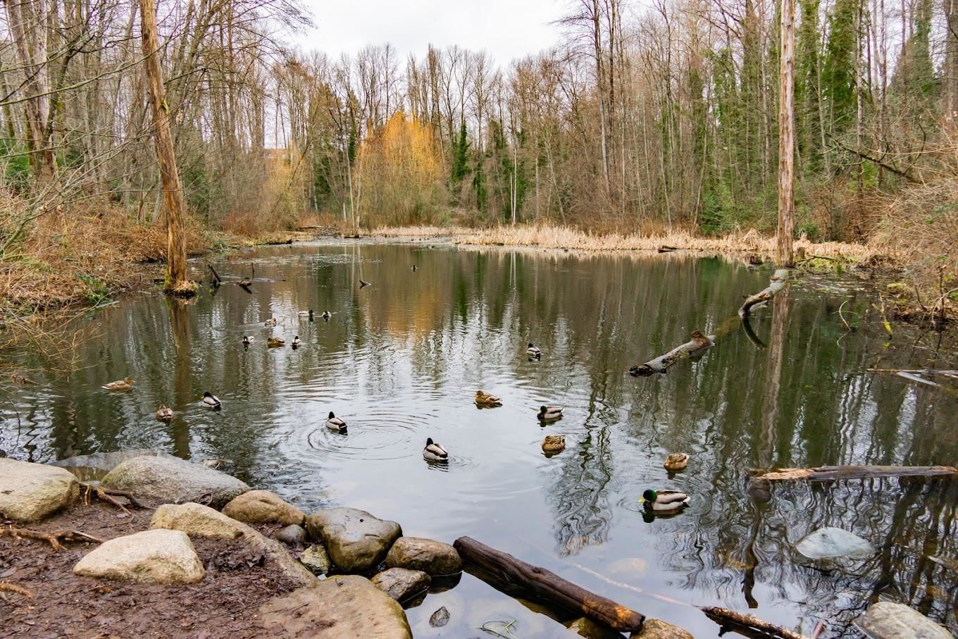 Listing Image 23