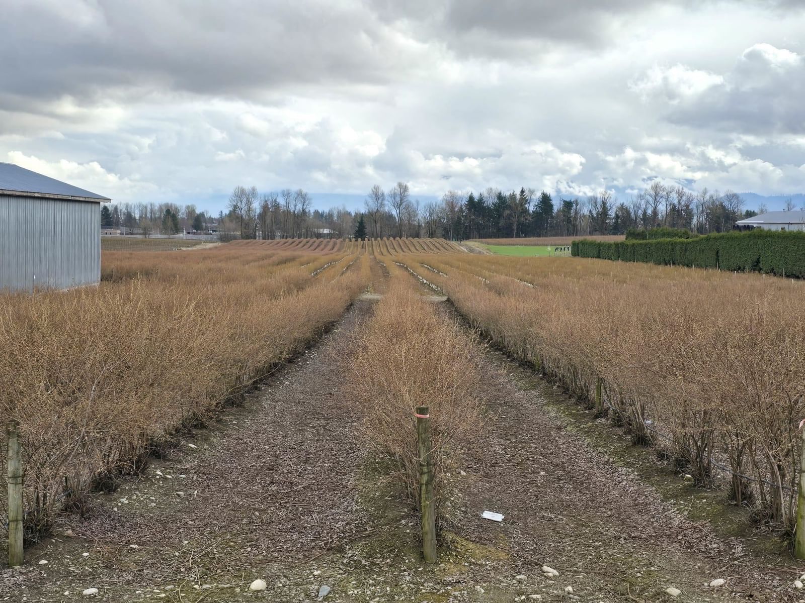Listing Image 16