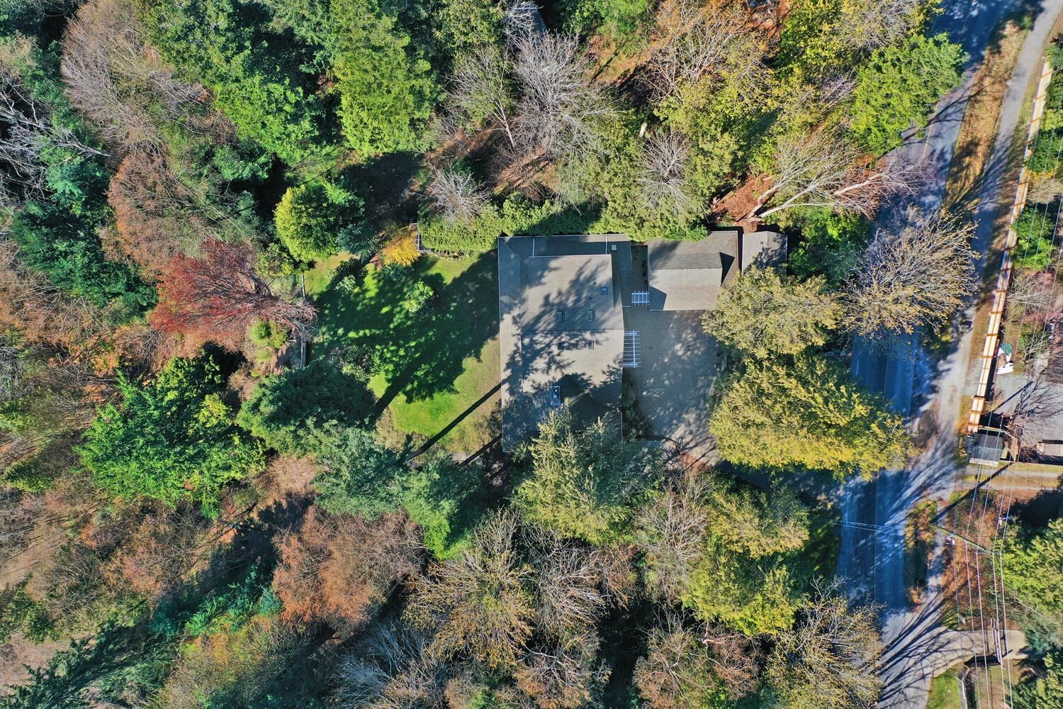 Listing Image 39