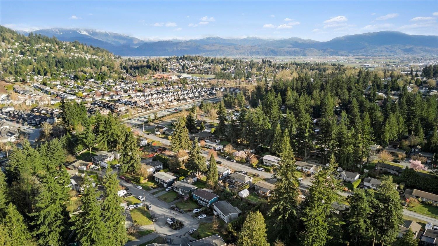 Listing Image 38