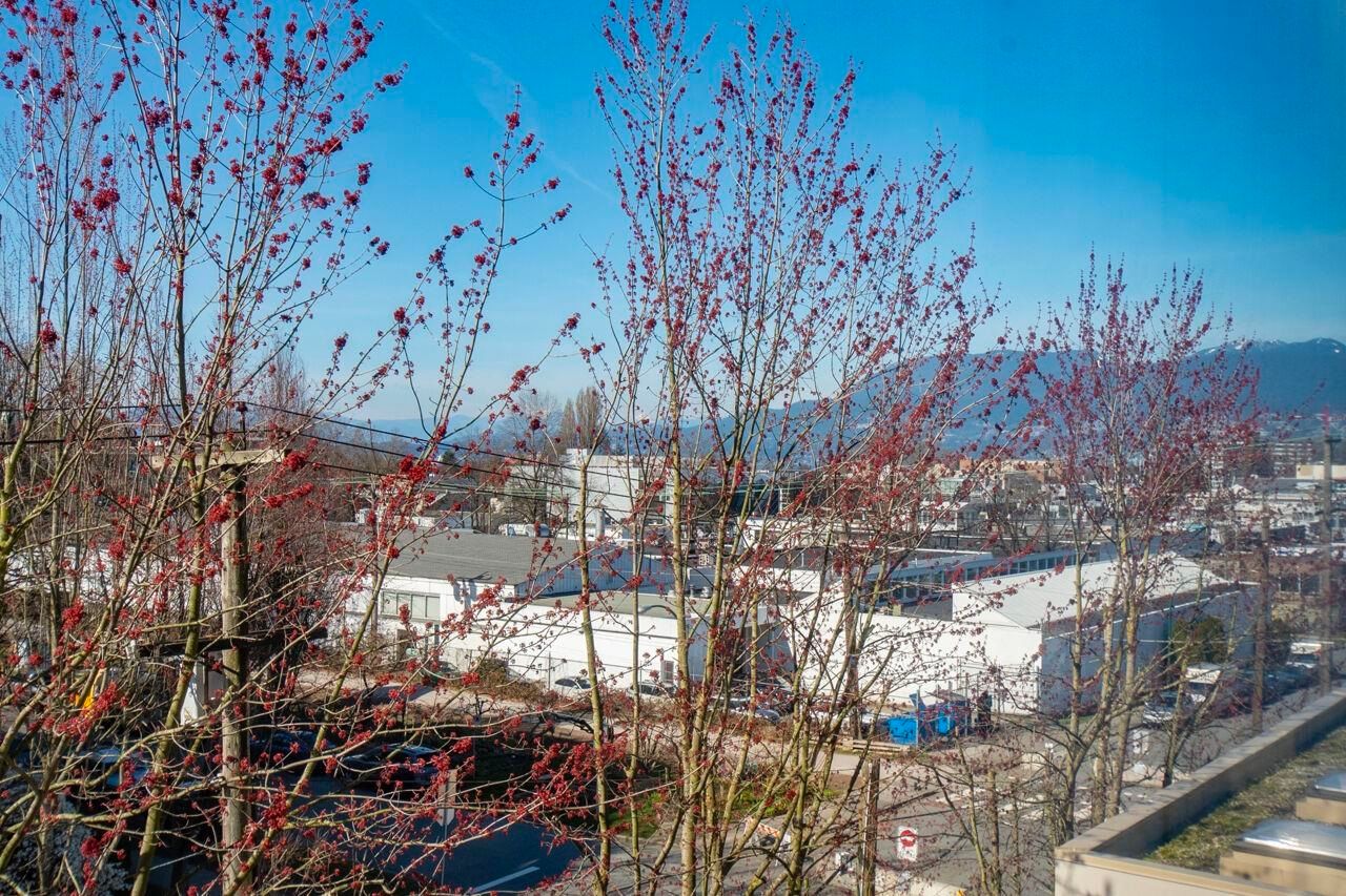 Listing Image 21