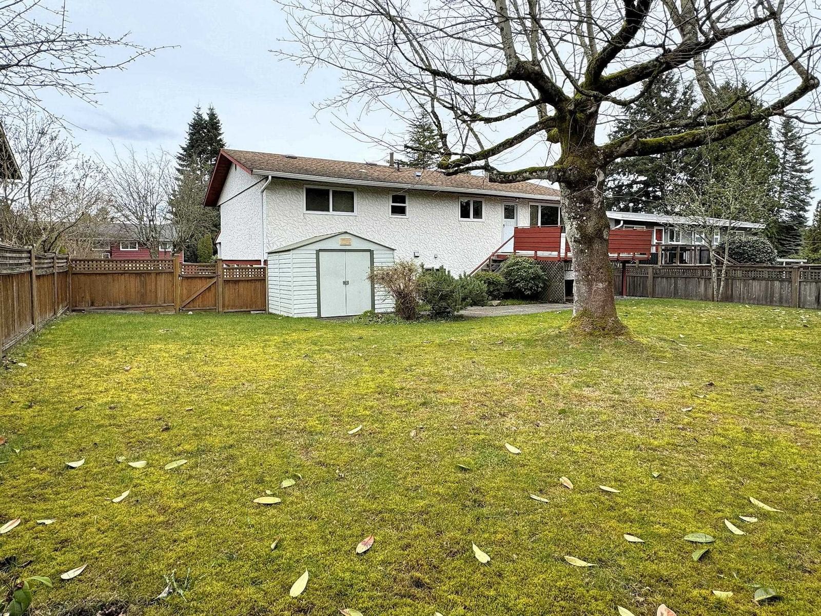 Listing Image 21