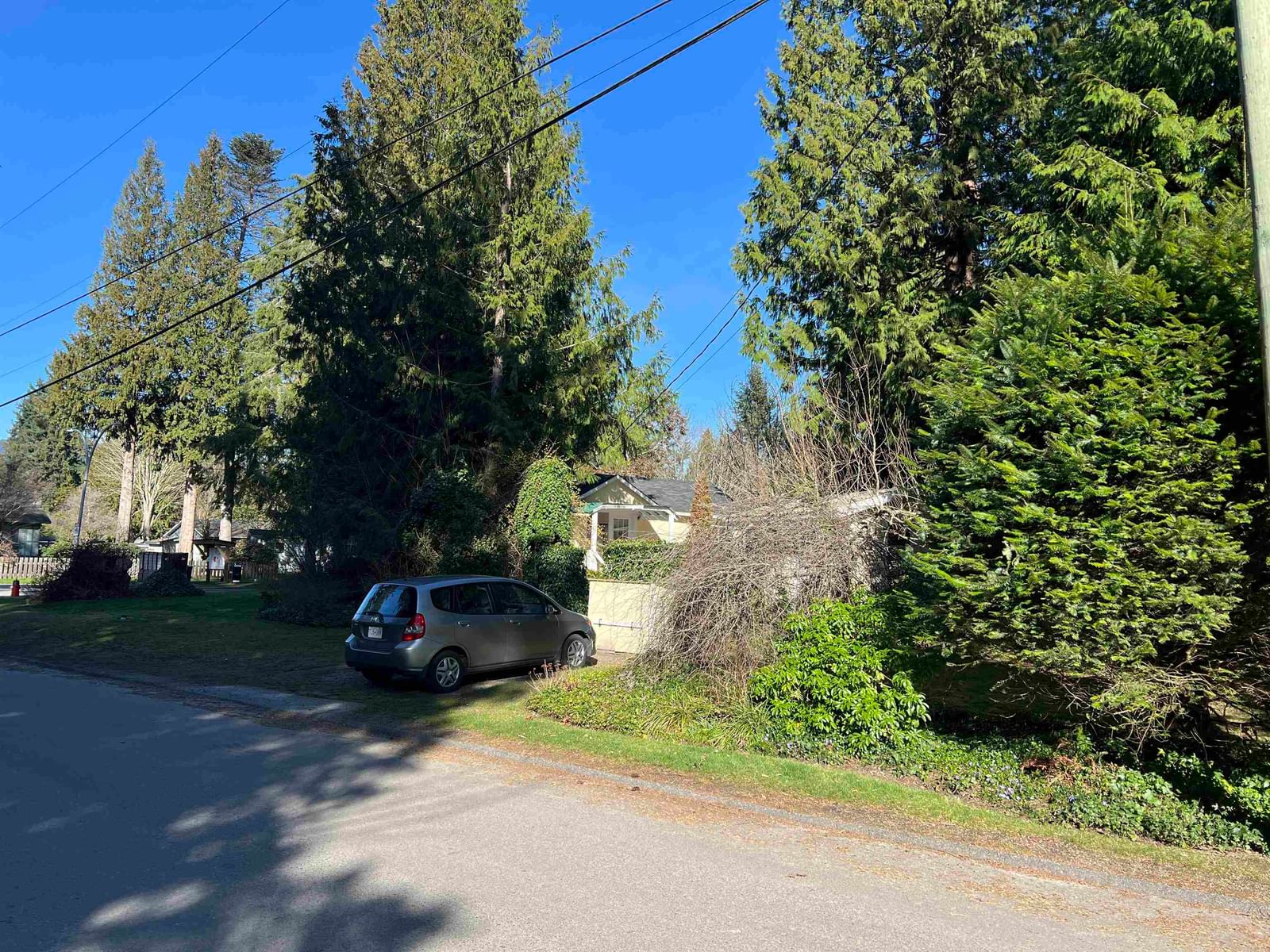 Listing Image 18