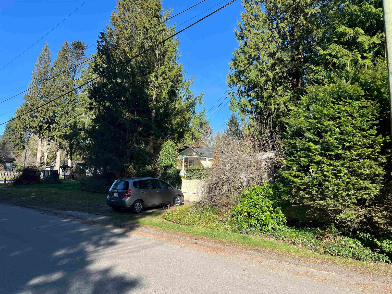 Listing Image 20