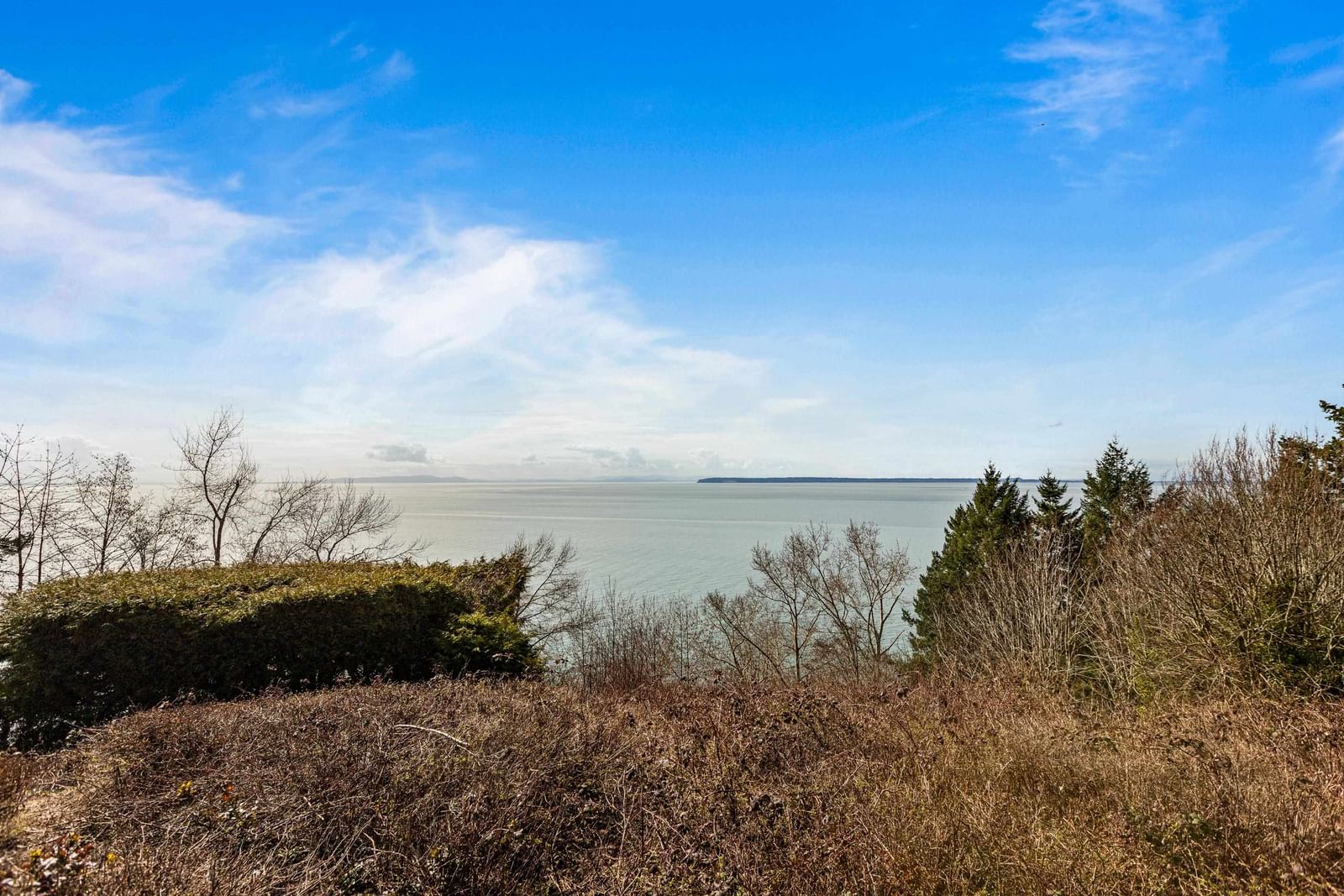 Listing Image 40