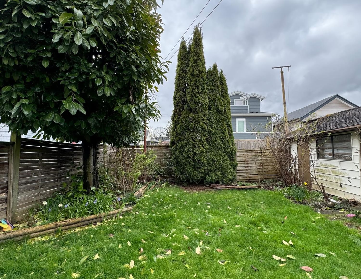 Listing Image 12