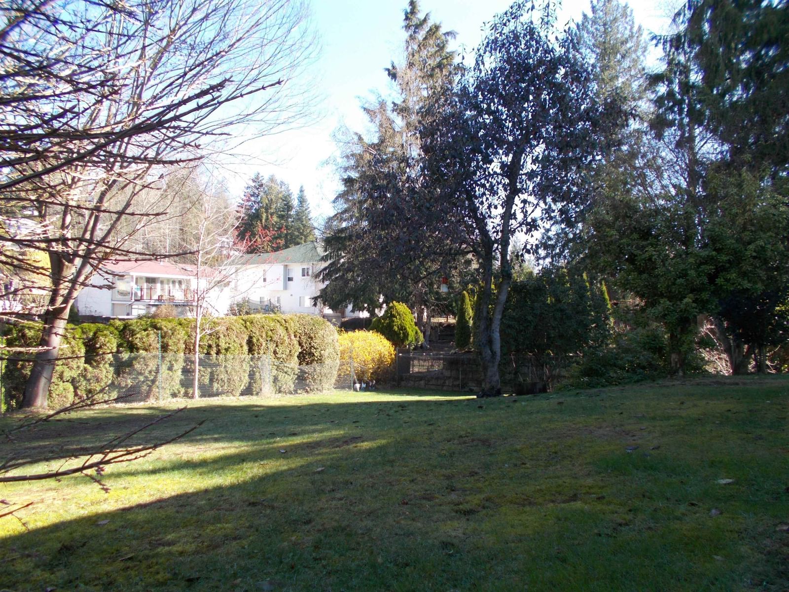 Listing Image 37