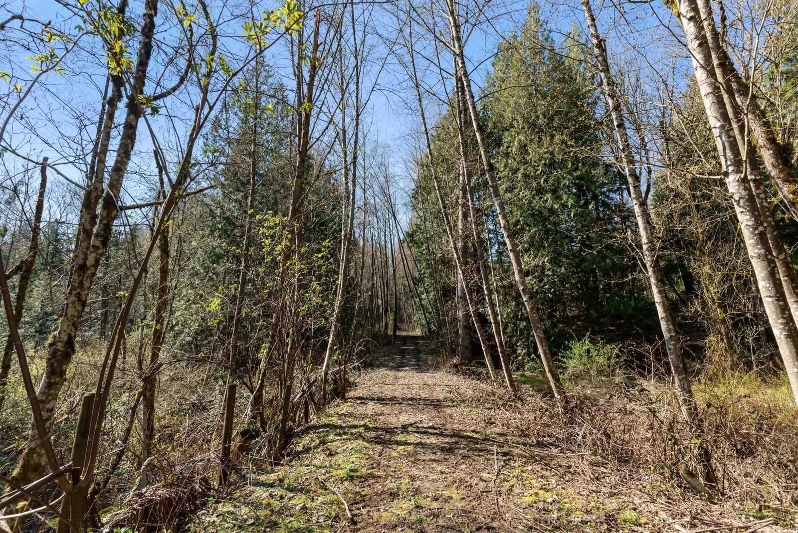 Listing Image 34