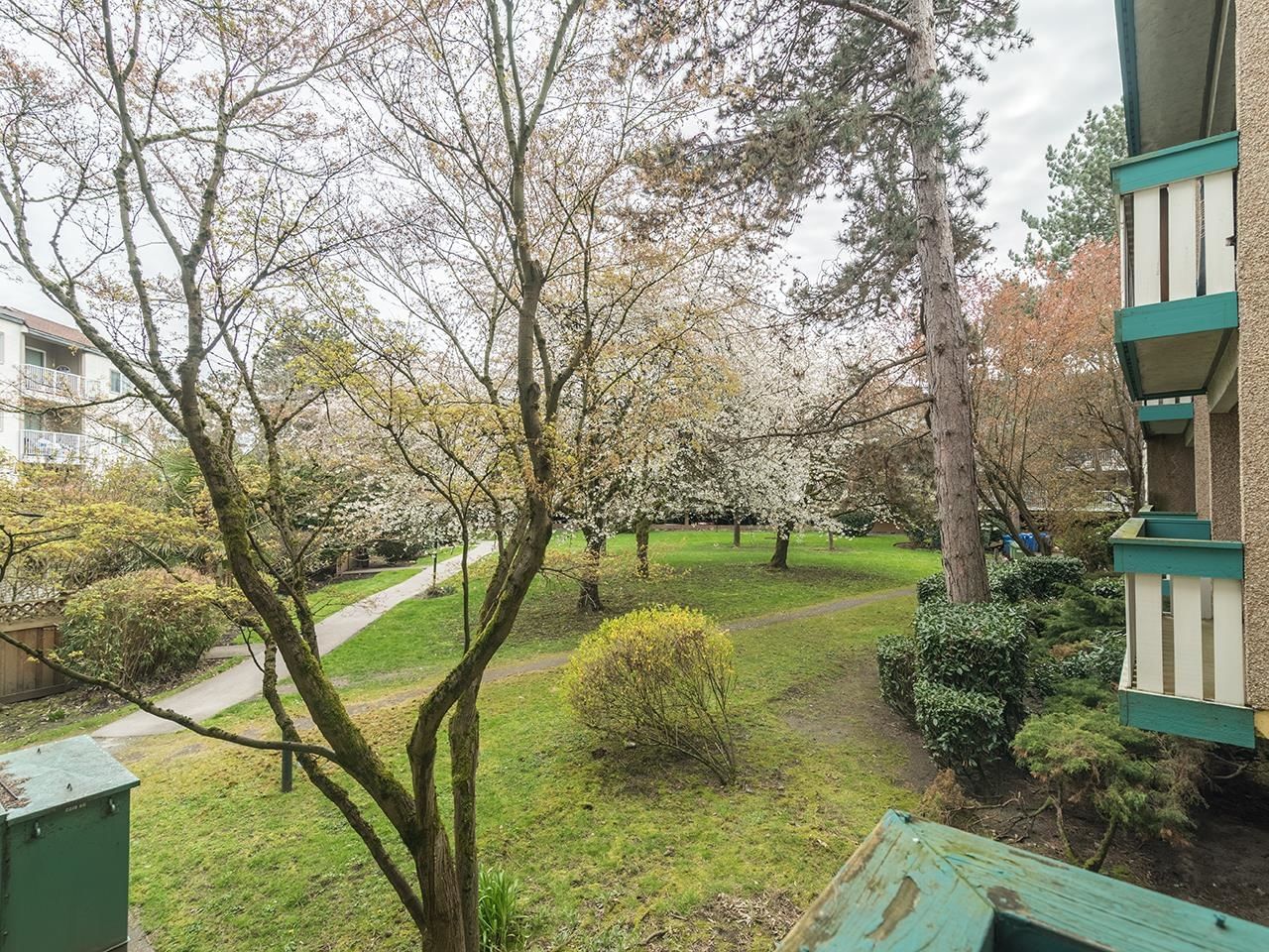 Listing Image 31