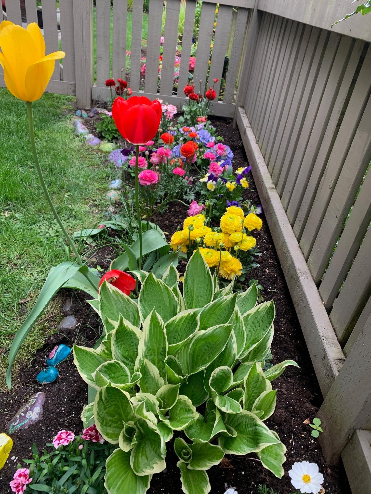 Listing Image 25