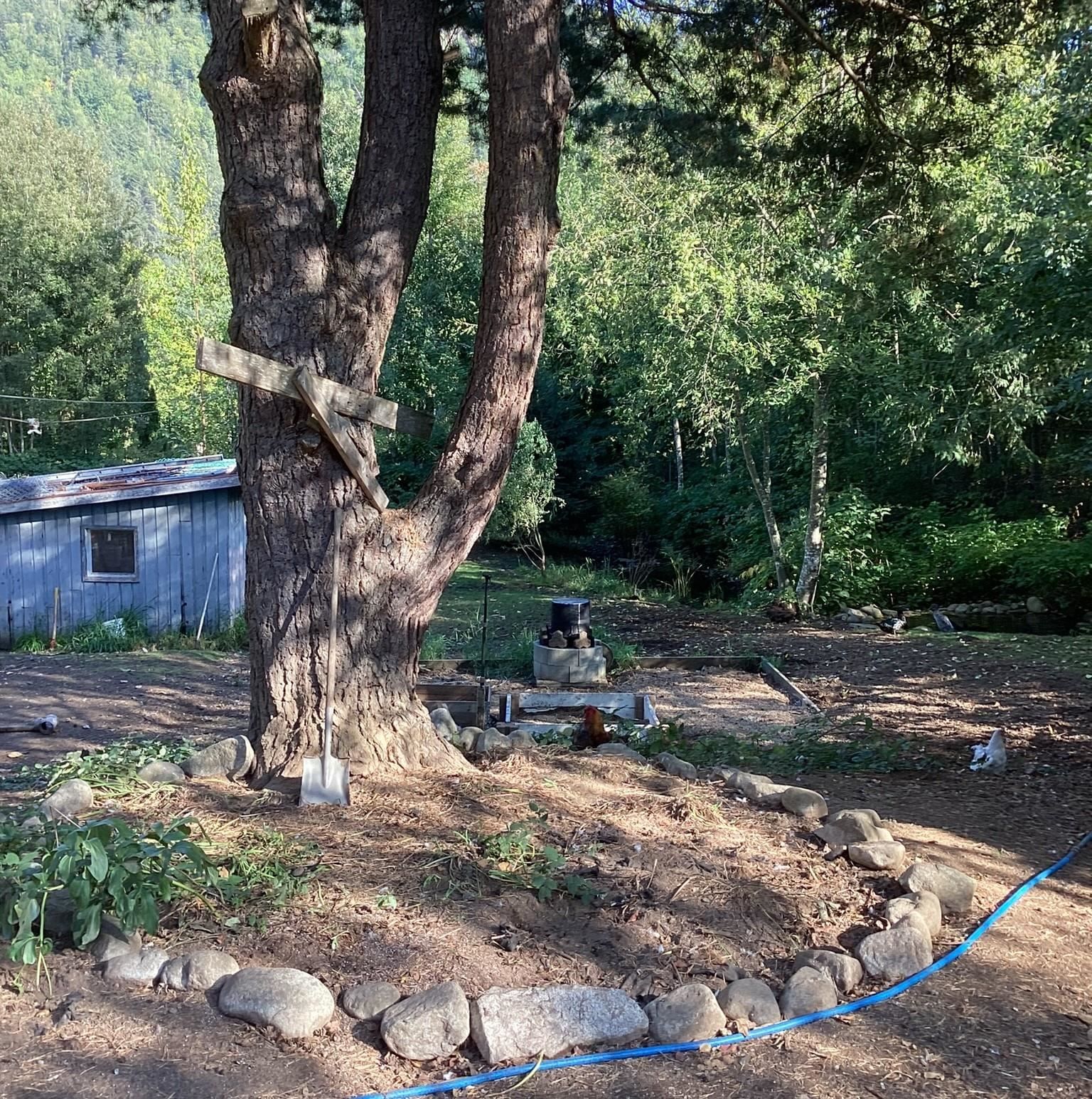 Listing Image 15