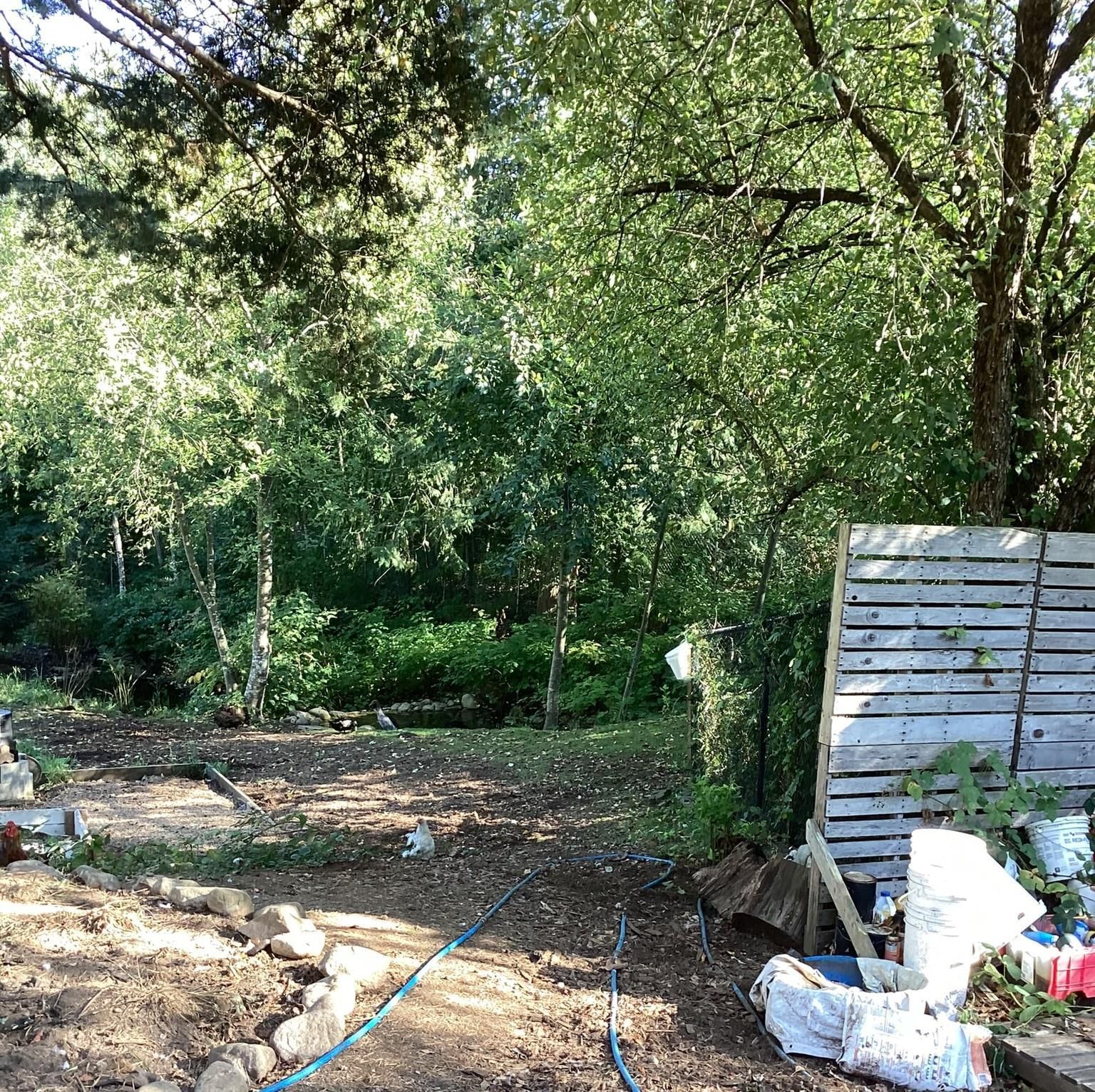 Listing Image 16
