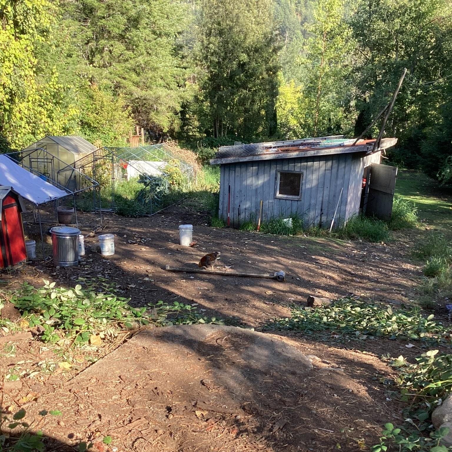 Listing Image 17