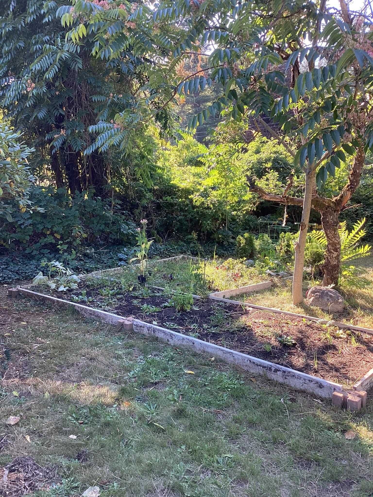 Listing Image 34