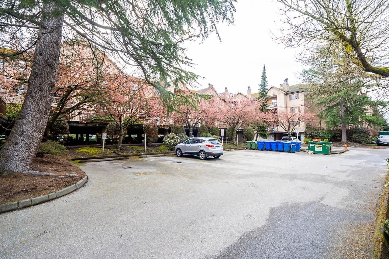 Listing Image 24