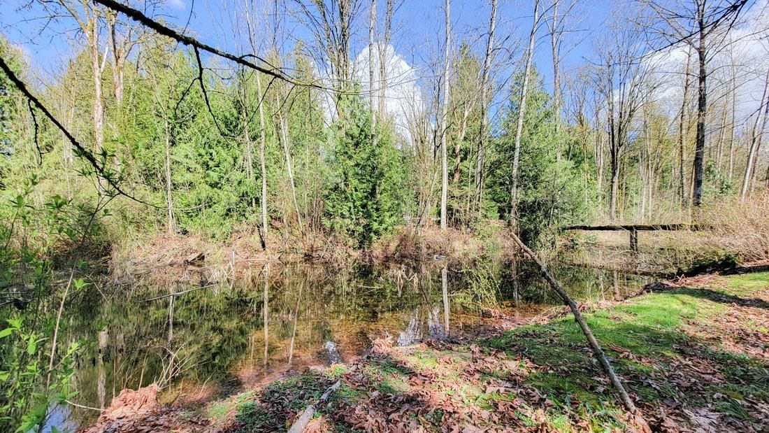 Listing Image 33