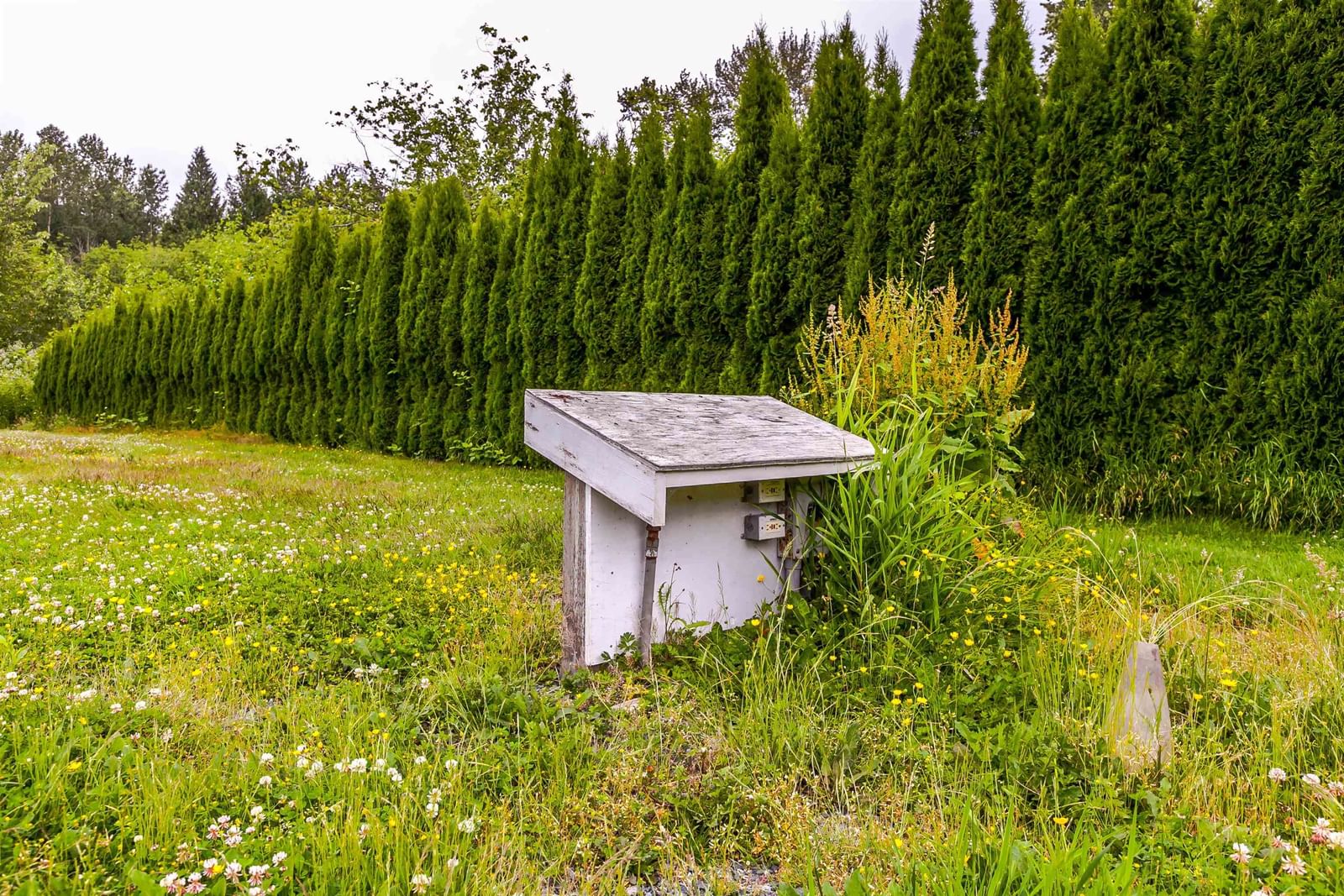 Listing Image 16