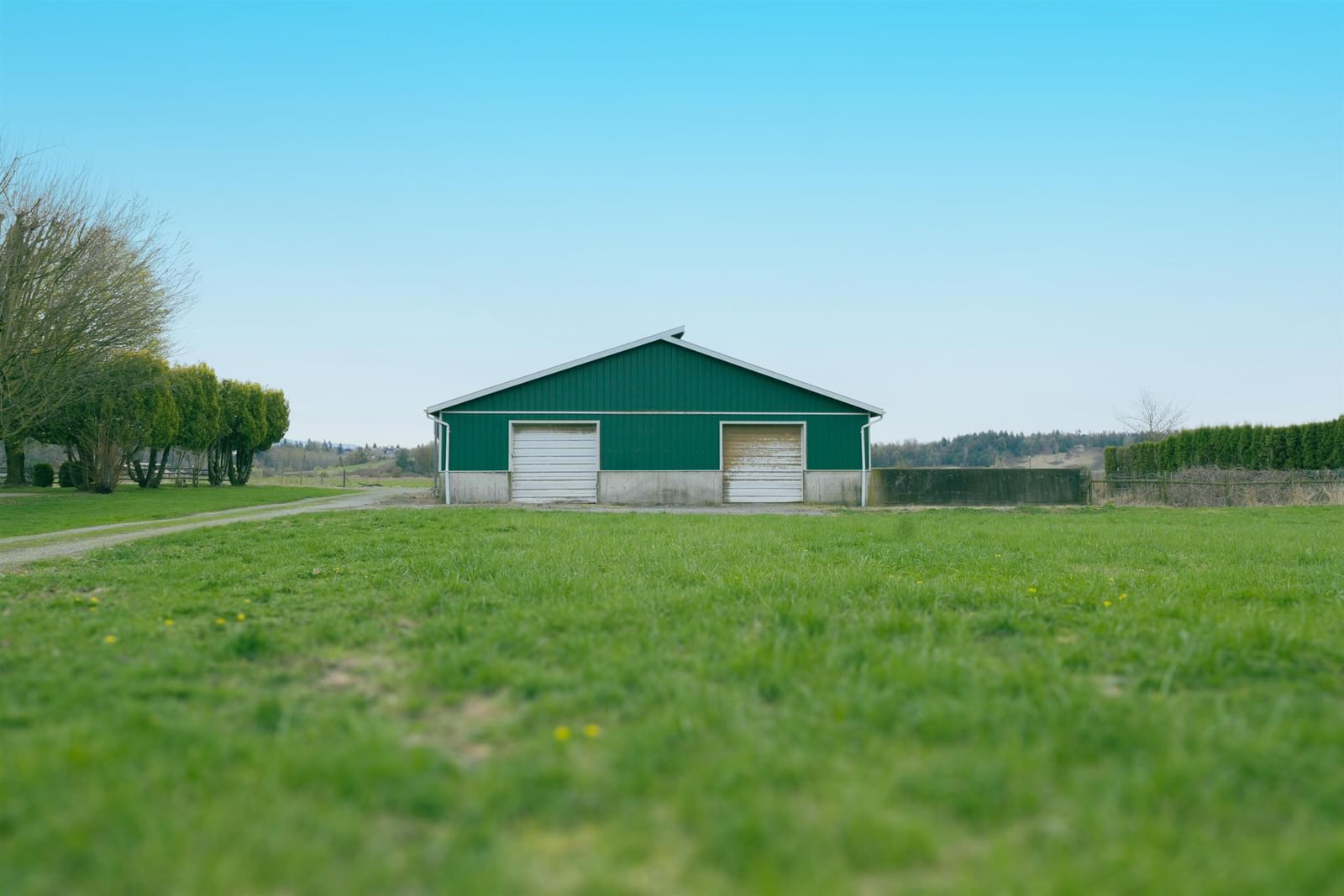 Listing Image 6