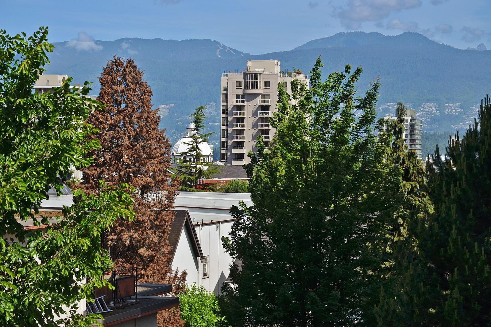 Listing Image 21