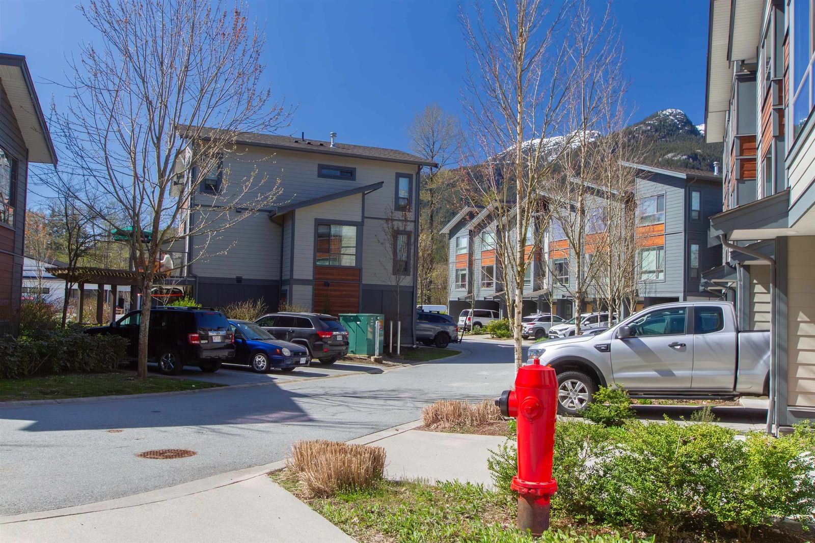 Listing Image 19