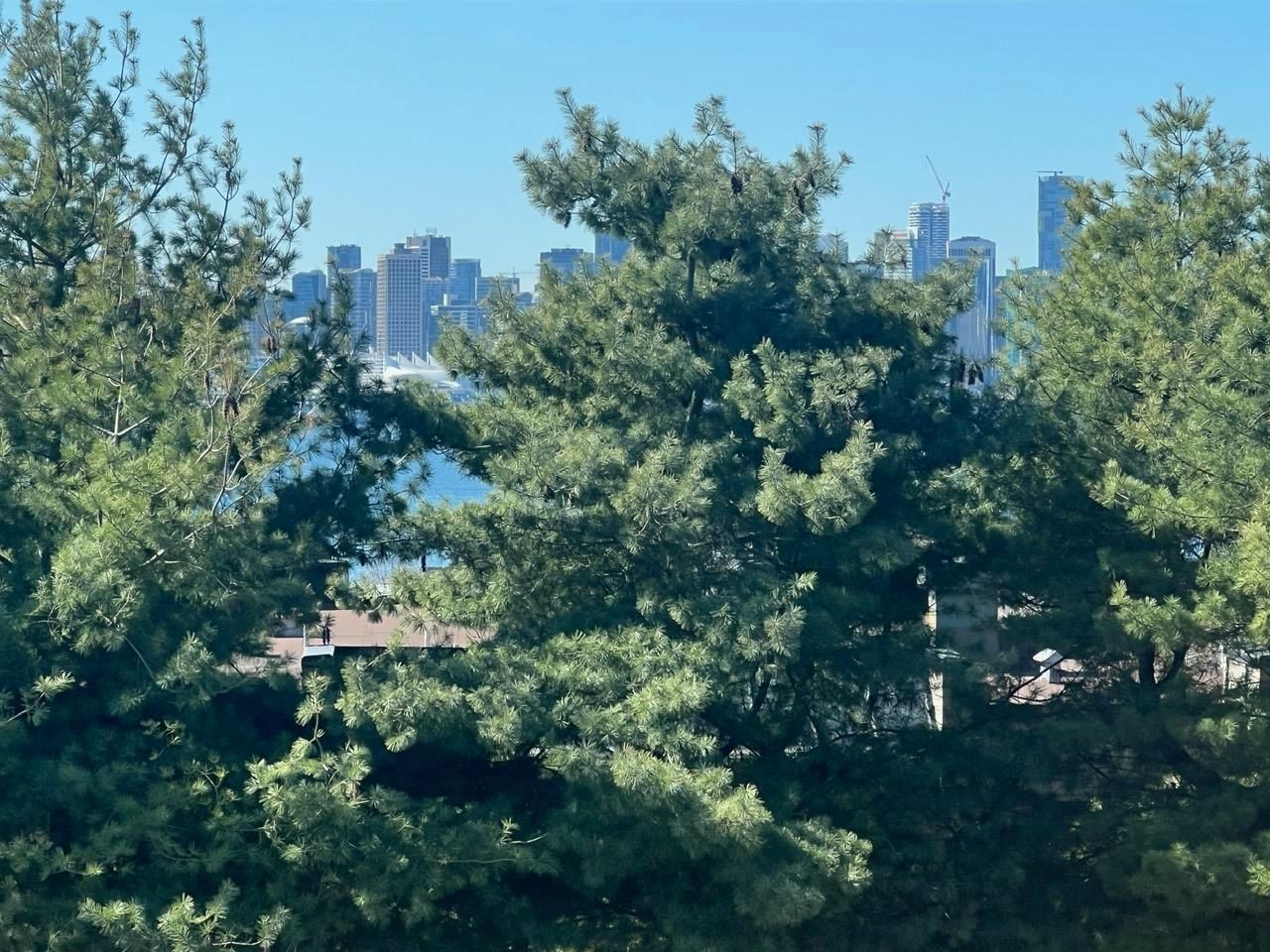 Listing Image 14